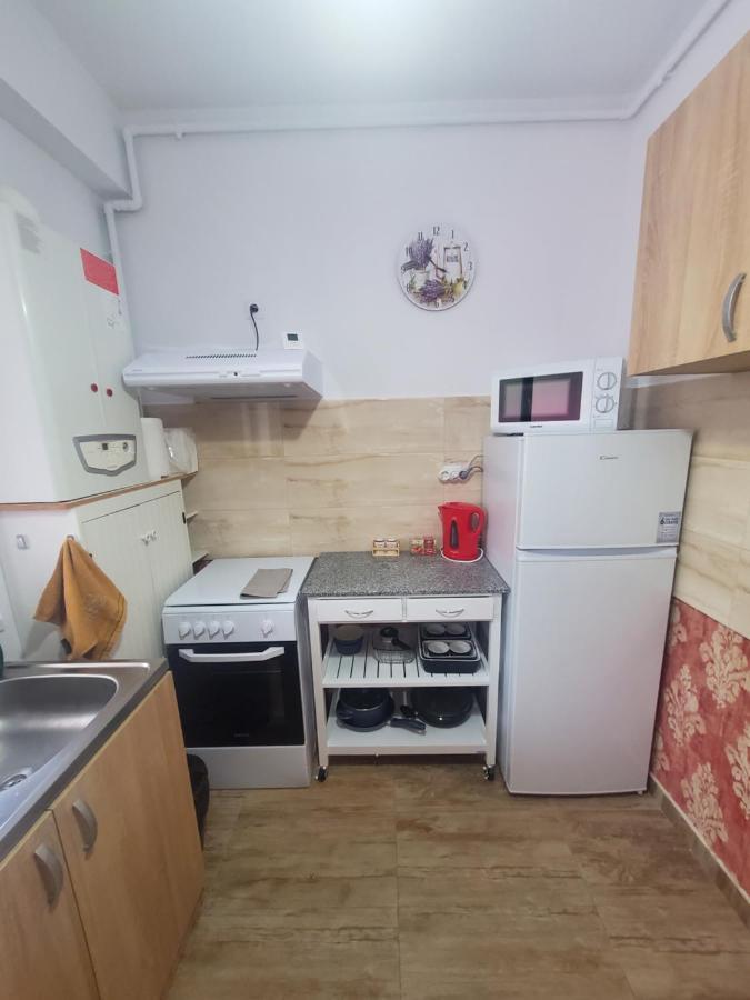 Morii Lake Special Apartment Bucharest Exterior photo